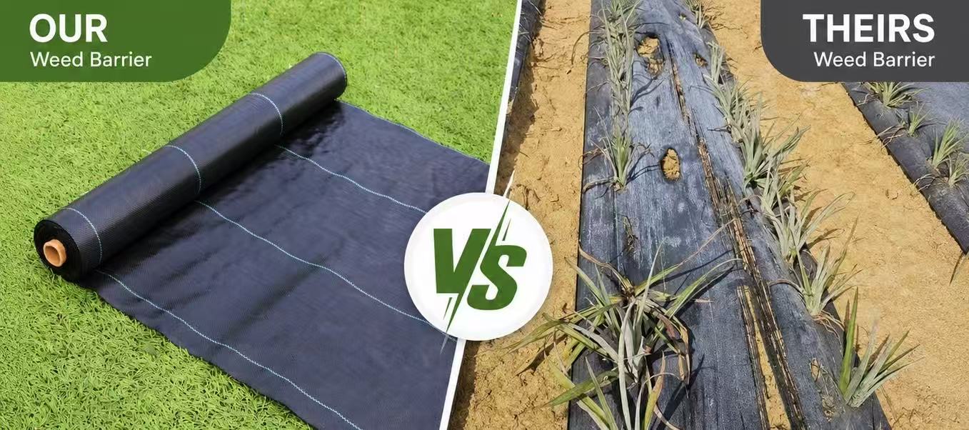 our weed barrier VS ordinary weed mat